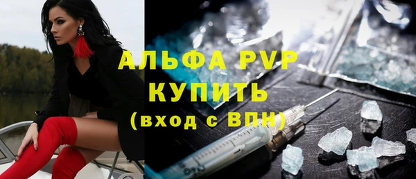 гидра Пересвет