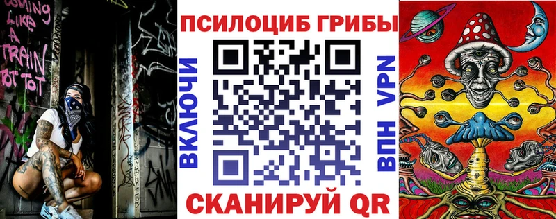 omg онион  Луга  Псилоцибиновые грибы Cubensis 