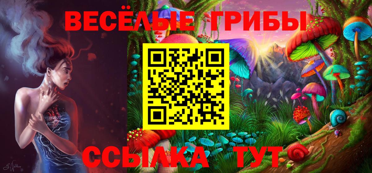 Луга  Псилоцибиновые грибы ЛСД  Вход с VPN 