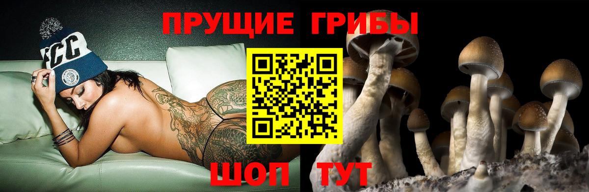 Галлюциногенные грибы MAGIC MUSHROOMS Луга